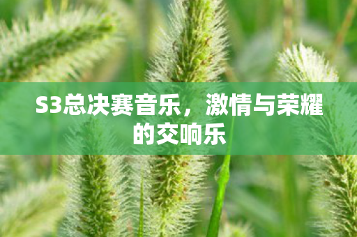 激情与荣耀的交响乐图片