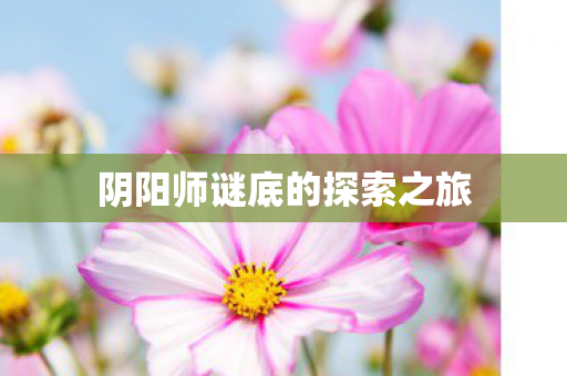 阴阳师谜底的探索之旅图片