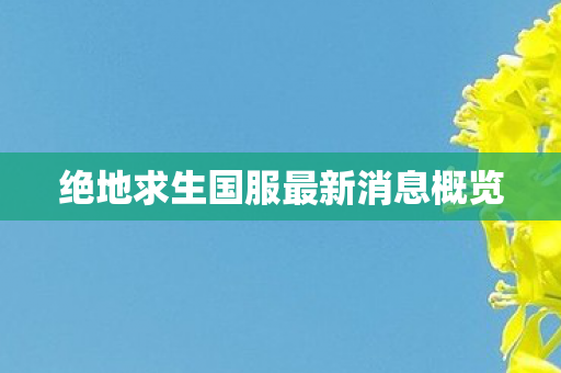 绝地求生国服最新消息概览图片