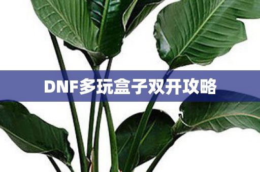 DNF多玩盒子双开攻略图片