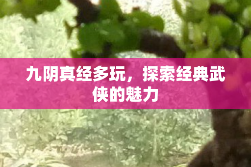 探索经典武侠的魅力图片