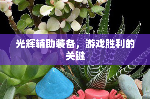 游戏胜利的关键图片