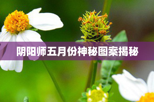 阴阳师五月份神秘图案揭秘图片