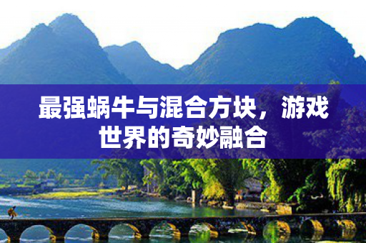 最强蜗牛与混合方块图片
