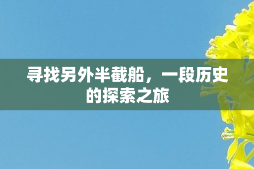 一段历史的探索之旅图片