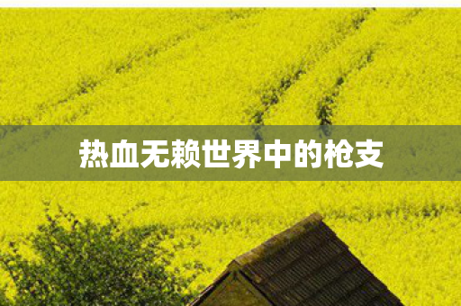 热血无赖世界中的枪支图片