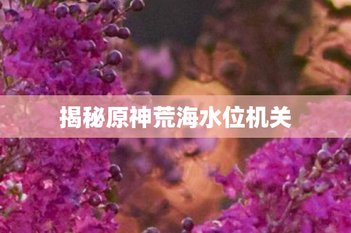 揭秘原神荒海水位机关图片