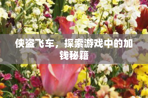 探索游戏中的加钱秘籍图片