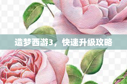 快速升级攻略图片