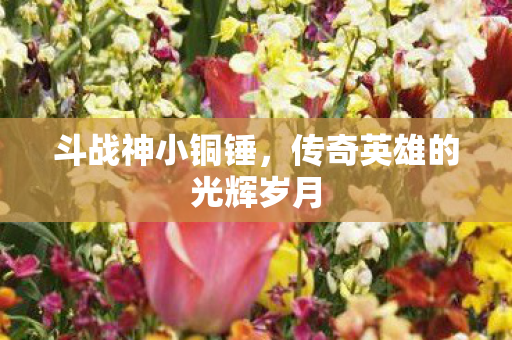 传奇英雄的光辉岁月图片