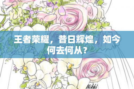 王者荣耀，昔日辉煌，如今何去何从？