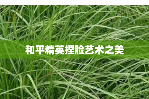 和平精英捏脸艺术之美 和平精英捏脸艺术之美