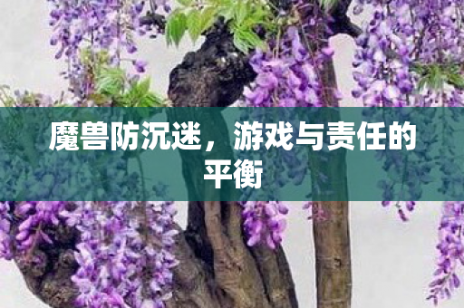 游戏与责任的平衡图片