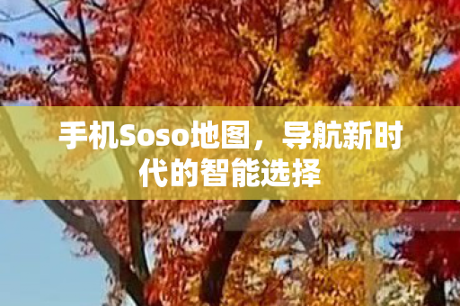 导航新时代的智能选择图片