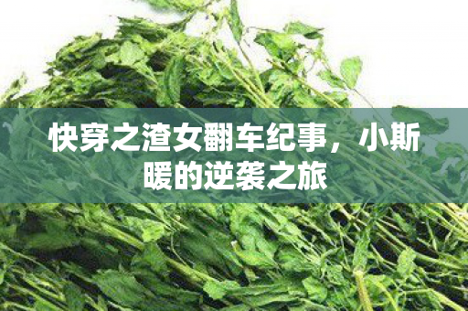 快穿之渣女翻车纪事图片