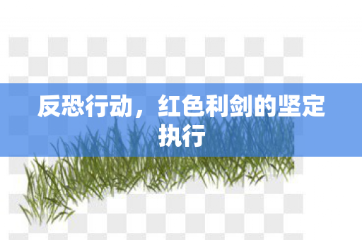 红色利剑的坚定执行图片