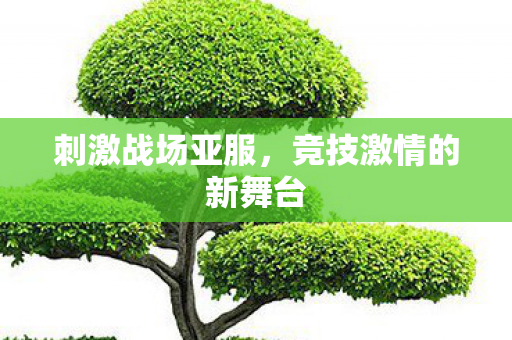 竞技激情的新舞台图片