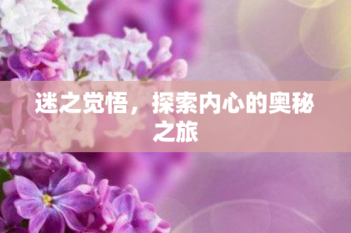 迷之觉悟,探索内心的奥秘之旅 迷之觉悟,探索内心的奥秘之旅