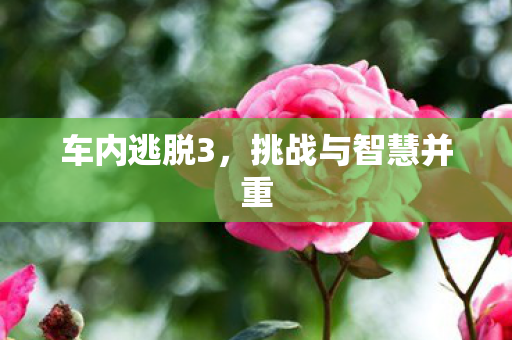 挑战与智慧并重图片