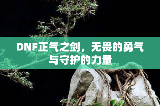 无畏的勇气与守护的力量图片
