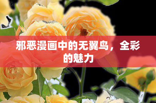 邪恶漫画中的无翼鸟图片