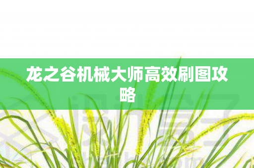 龙之谷机械大师高效刷图攻略图片