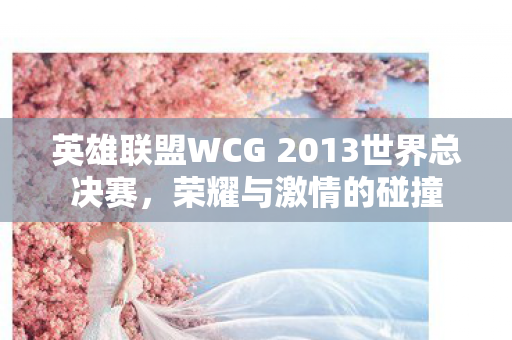 英雄联盟WCG 2013世界总决赛图片