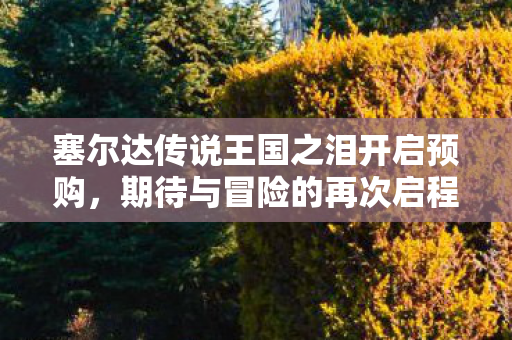 塞尔达传说王国之泪开启预购图片
