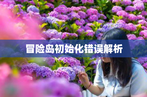冒险岛初始化错误解析图片