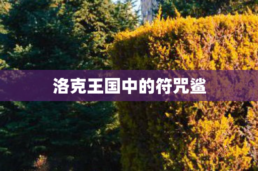 洛克王国中的符咒鲨图片