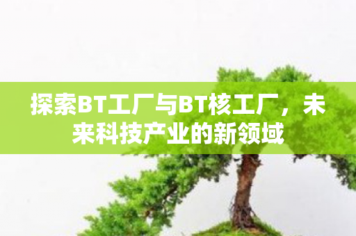探索BT工厂与BT核工厂图片