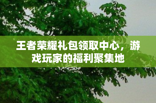 王者荣耀礼包领取中心图片