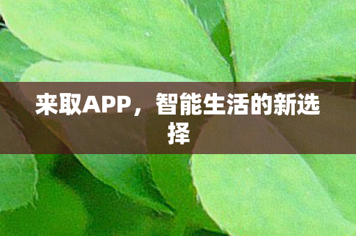智能生活的新选择图片