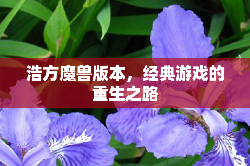经典游戏的重生之路图片