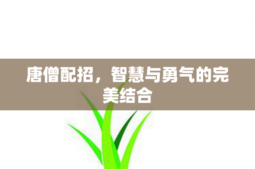 智慧与勇气的完美结合图片