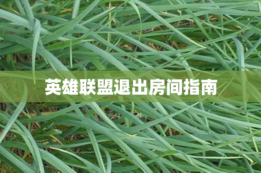 英雄联盟退出房间指南图片