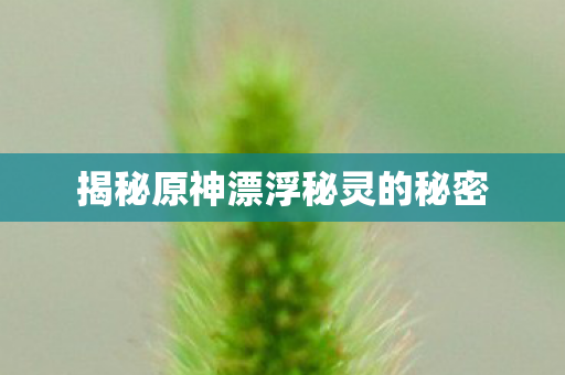 揭秘原神漂浮秘灵的秘密图片