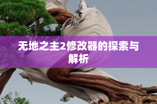无地之主2修改器的探索与解析图片