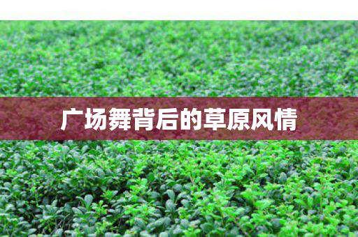 广场舞背后的草原风情图片