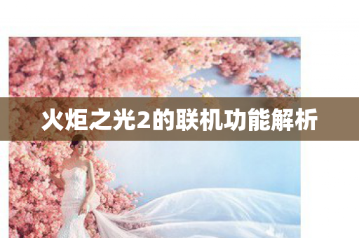 火炬之光2的联机功能解析图片