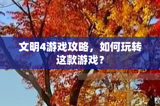 如何玩转这款游戏图片