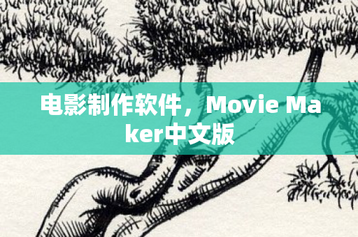Movie Maker中文版图片