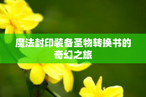 魔法封印装备圣物转换书的奇幻之旅图片