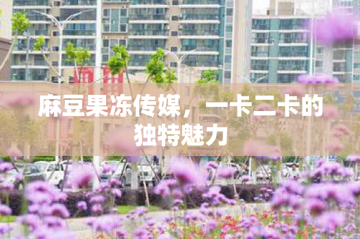 一卡二卡的独特魅力图片