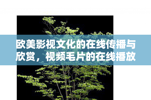 欧美影视文化的在线传播与欣赏图片