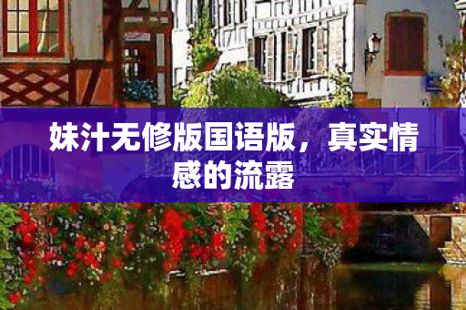 妹汁无修版国语版图片