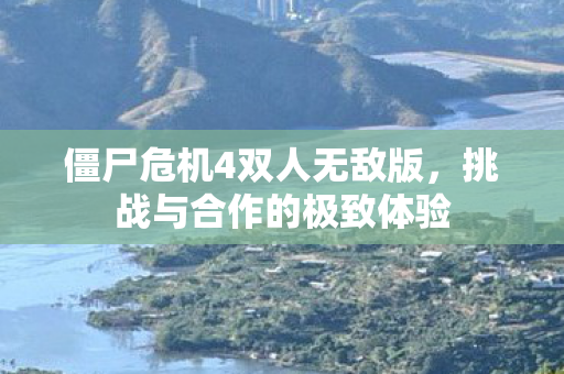 僵尸危机4双人无敌版图片