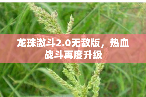 热血战斗再度升级图片