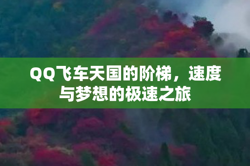 速度与梦想的极速之旅图片