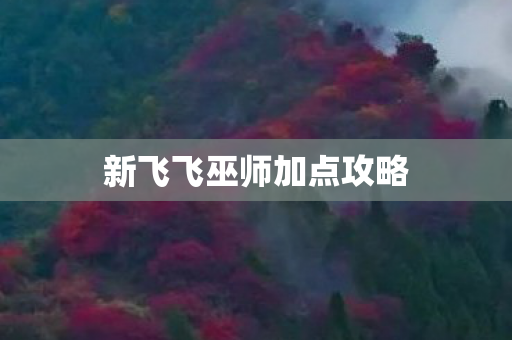 新飞飞巫师加点攻略图片